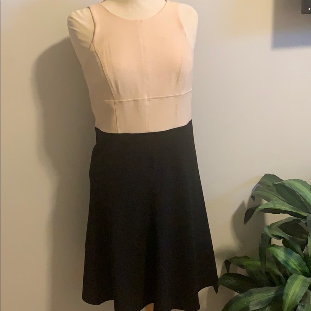 Ann Taylor flare midi dress